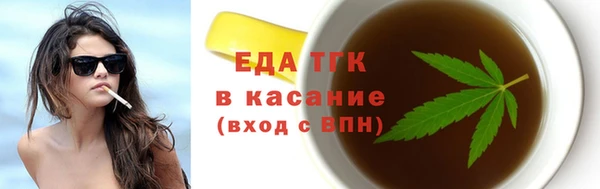 тгк Ельня